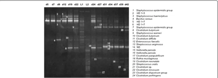 Figure 1 Representative TTGE gel obtained for the chronological follow-up of patient D from day 5 (d5) to day 45 (d45)