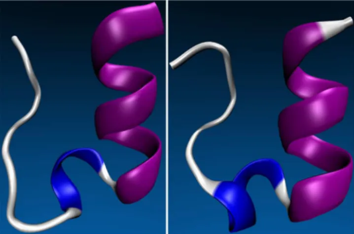 Figure 5. Tertiary structure of miniprotein 1L2Y taken from NMR experiment 128 before the simulation (left part) and after OIN/GEFE/