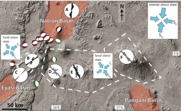 Figure 11. Interpretation of the local stress state in the Ngorongoro Volcanic Highlands (Figure 5, area 3), Arusha (Figure 5, area 4) and Kili- Kili-manjaro ﬁelds (Figure 5, area 5) of the Ngorongoro-KiliKili-manjaro Volcanic Belt, based on fault and cone