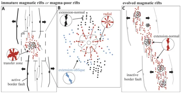 Figure 13. Schematic representation of the distribution of cones and their trends in this study