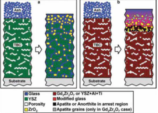 Fig 13. Schematic cross-sections of APS TBCs with ash deposits, before and after exposure to heat