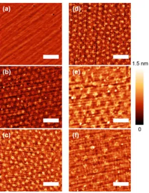 Figure 3. AFM height maps of silicon surfaces with 1-dodecene and plasmonic stamps. (a c) E ﬀ ect of time on illumination of a Si(111) H surface with 1-dodecene, through a plasmonic stamp, from 0 (a), 30 (b), and 60 min (c)