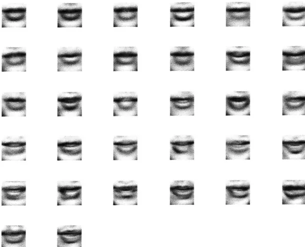 Figure  4-2:  The  first  32  principal  components,  added  to  the mean  image.