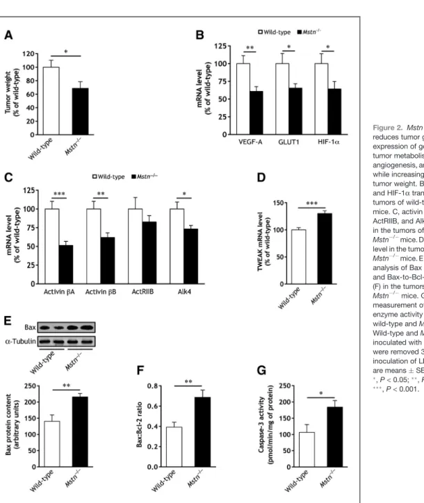 Figure 2. Mstn gene inactivation reduces tumor growth and expression of genes involved in tumor metabolism and