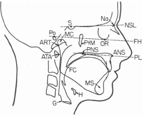 Figure 2.1  Partial tracing of  the x-ray  in Figure  2.2  showing  some reference lines and planes that are used  in cephalometry