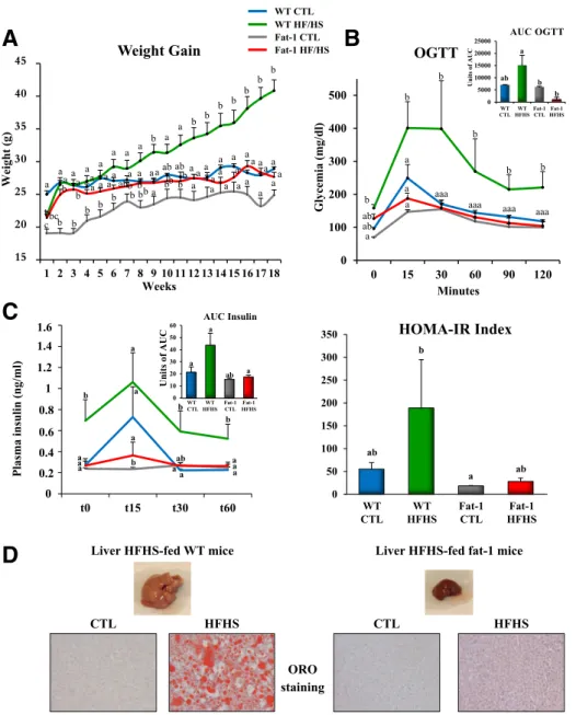 Figure 1 — The fat-1 transgenic mice maintain a lean phenotype when fed an HFHS diet. Mice (WT and fat-1 transgenic) were fed a CTL or HFHS diet for 18 weeks