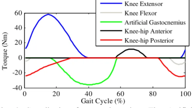 Fig. 4 Transtibial prosthesis with the PAP and the AG. 
