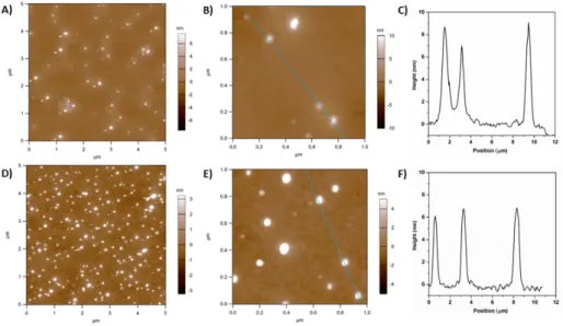 Figure 5: AFM images of hyperstars drop-casted from a solution of 0.1 mg mL -1  hyperstar in THF