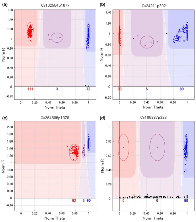 Fig. 1 GenomeStudio images of SNP markers segregating in the RIL Population. a SNP showing typical 3 cluster segregation pattern; b SNP where the hybridization of one allele was affected perhaps by the presence of an additional SNP in the