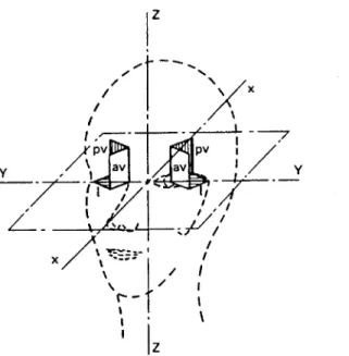 FIGURE  7  - PLANES  OF THE  SEMICIRCULAR  CANALS  WITH RESPECT  TO  THE HEAD.  X,Y
