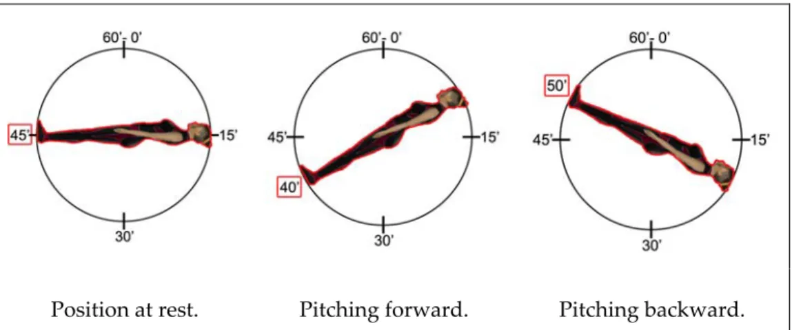 Figure 3.11. IT report explanation. 