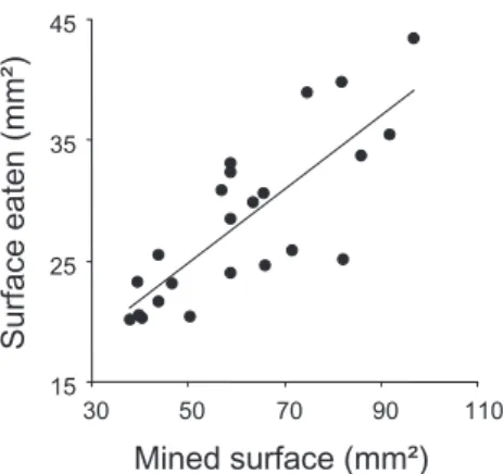 Figure 3. Mean mined surface and mean surface occupied by  green patches in occupied (grey bars) and empty mines (white  bars) used during the gas exchange measurements.