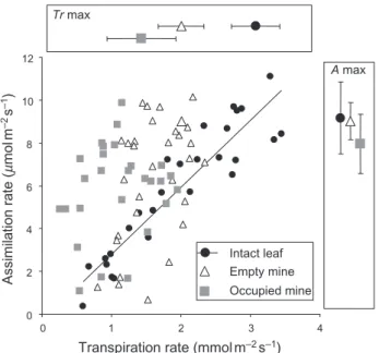 Figure 6. Relationship between the assimilation rate of  photosynthetically active tissues and transpiration rate in intact leaf  tissues, occupied mines and empty mines