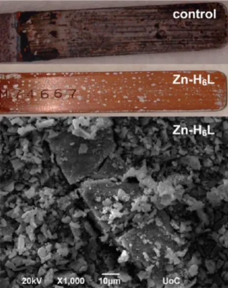 Figure 12. Anticorrosive eﬀect of Zn−(p-H 6 L) precipitate on carbon steel at pH = 2.2