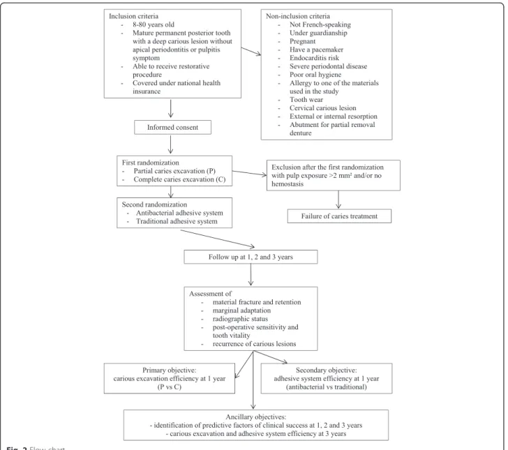 Fig. 2 Flow chart