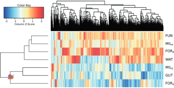 Fig. 7 Heatmap of viral genotypes relative coverage by sample, with the hierarchical clustering resulting in the grouping of all healthy corals (FUN, FOR H , MIL H ), with the water sample (WAT), and both grazed corals (FOR G and MIL G ) with GUT (clade in