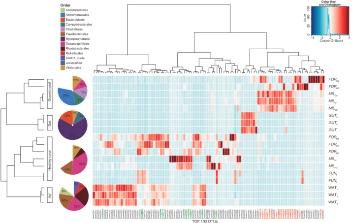 Fig. 4 Heatmap of bacterial 16S rRNA gene OTU 97% obtained from the mucus of healthy ( H ) (Acropora millepora, MIL; Acropora  for-mosa, FOR; and Fungia sp., FUN) and grazed ( G ) corals (Acropora millepora and Acropora formosa), from Drupella ’ s gut (GUT