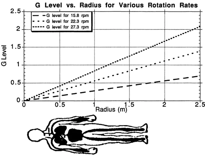 Figure  1.  Variation  of  Gz  Level  Along  a  Body  with  Radius  and  Rotation  Rate