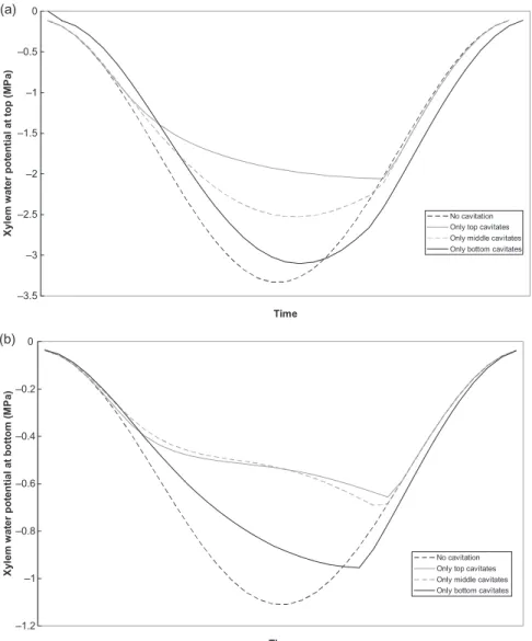 Table 3. Parametrization of the volume and hydraulic resistance of the different compartments of a tree