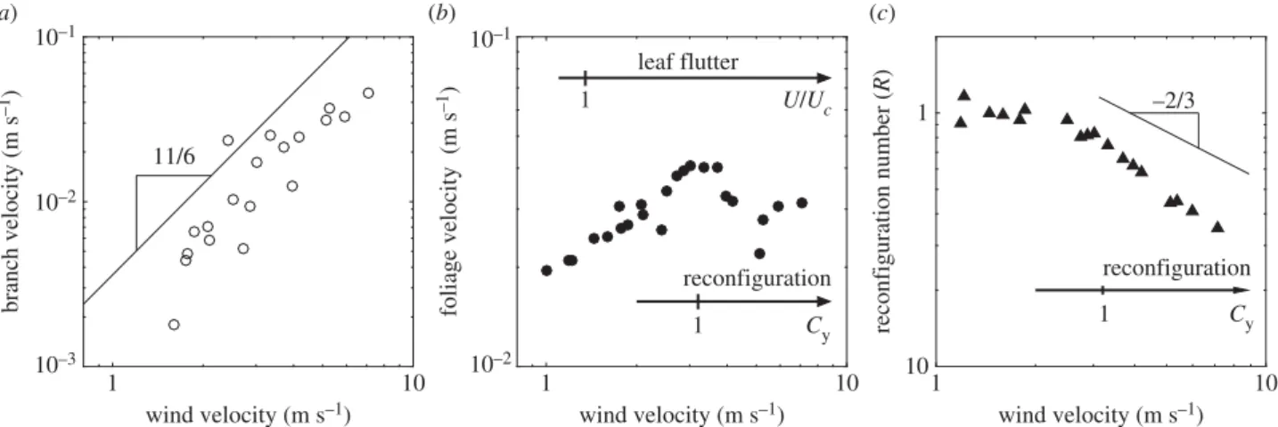 Figure 4. (a) Part of the foliage motion due to branch motion. (8) Experimental data, ( – ) scaling law using a standard model of turbulent buffeting