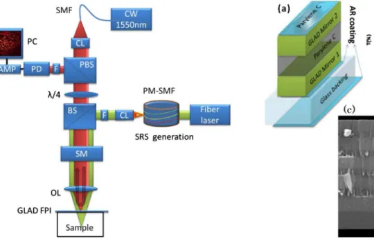 Fig. 1. Experimental setup of GLAD OR-PAM. F, filter; OL, objective lens; PMf-SMF, polarization-maintaining single-mode fiber; CL, collimator lens; PBS, polarized beam splitter; BS, beam splitter; SM, 2D scanning mirrors; PD, photodiode;