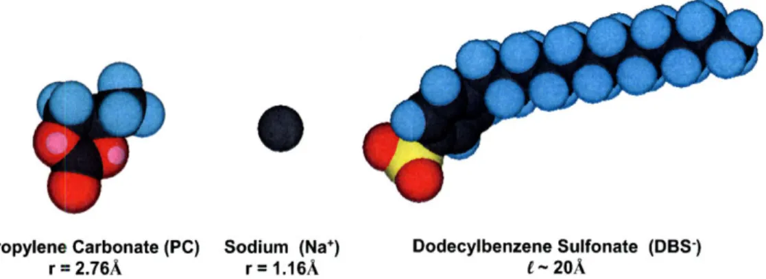 Figure  2-11:  Relative  sizes  [69]  of species  in  a cation-dominated  electrolyte  system.