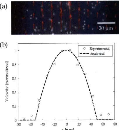 Figure  3.2.  (a) Measured velocity field using PIV, and (b)  its comparison with  the  analytical parabolic profile (u(z)/u(W/2)) along channel width (z-) direction.