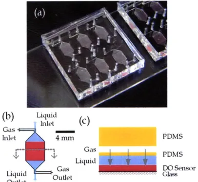 Figure 4.5.  (a) Photograph and schematic diagrams of (b)  top view  and (c)  cross-section  of a  PDMS  chip for  validation of diffusion time.