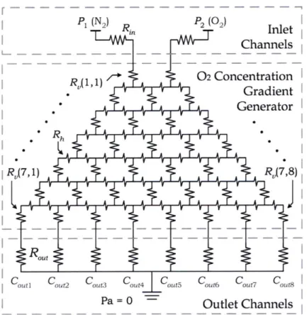 Figure  5.2.  Circuit model of oxygen gradient generator.
