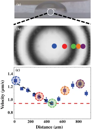 FIG. 2 (color online). Creating gradients in the density of biotin binding sites and mapping the velocity profile of the substrate.