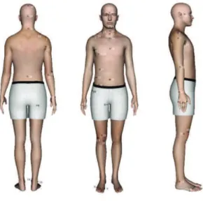 Fig. 1. CFAS 2012 landmarks. 