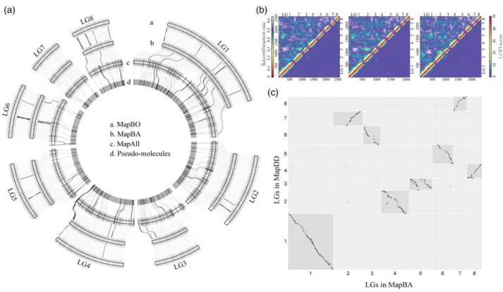 Figure 1. Validations of the linkage maps.