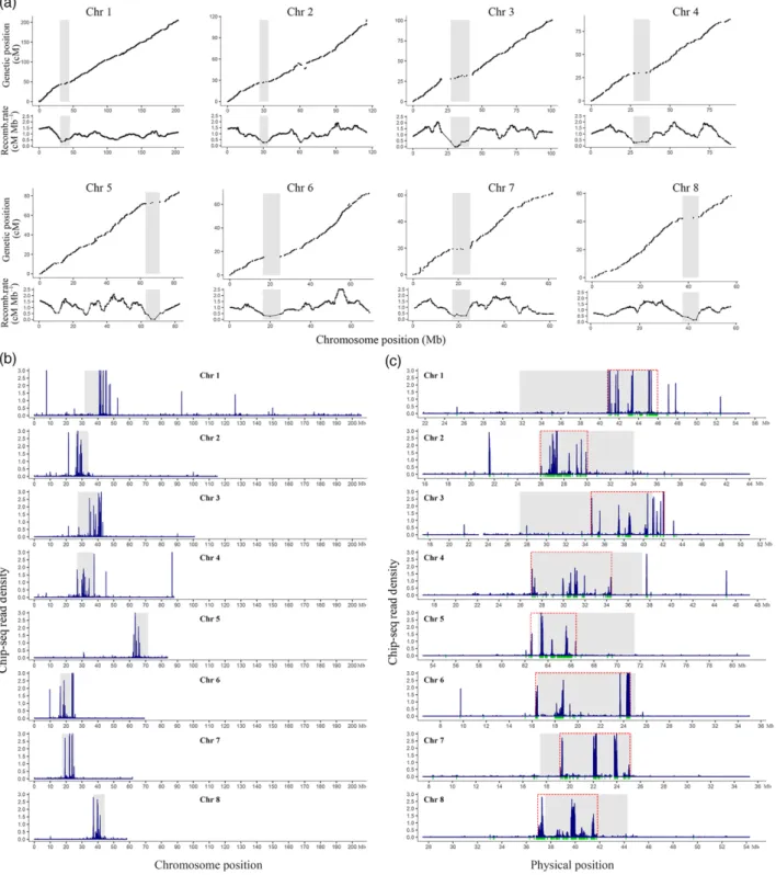 Figure 3. Identification of centromere regions in the pseudo-chromosomes of the ‘Chinese Tai-zi’.