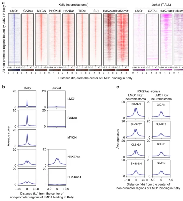 Fig. 2 LMO1 co-occupies targets with the members of the ADRN CRC. a The LMO1-bound nonpromoter loci were ﬁ rst identi ﬁ ed in Kelly cells