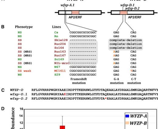 Fig. S8). The WFZP genes showed organ-speciﬁc and stage-speciﬁc expression patterns. WFZP transcripts were detected in young spikes, with the highest level of  ex-pression observed at the early ﬂoret developmental stage (Fig