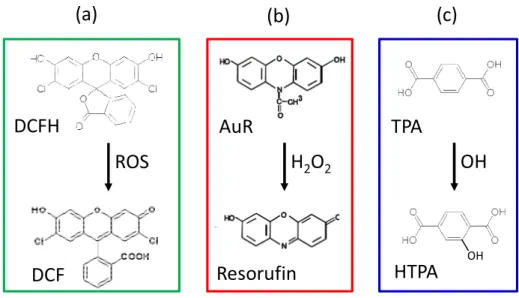 Figure 1. Fluorescent probes used in this study. (a) 2',7'-dichlorofluorescin (DCFH); 