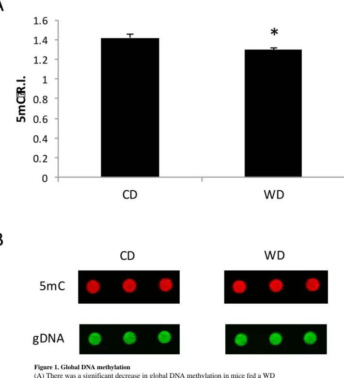 Figure 1. Global DNA methylation