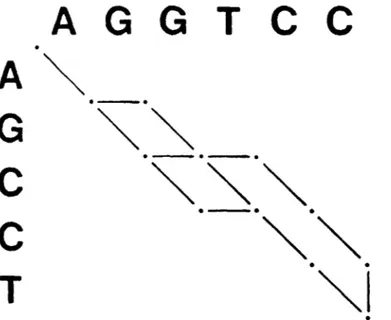Figure  3-1.  Paths  representing  the  five  optimal  alignments  of  AGCCT  and AGGTCC