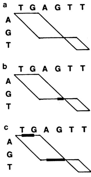 Figure  3-3.  Composite  path  graphs  representing  the  optimal  alignments  of AGT  and TGAGTT  for w(x)  =  1 +  x.