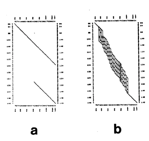 Figure  3-8.  Five  path  graphs  for  two  DNA  sequences  from  interleukin  2.