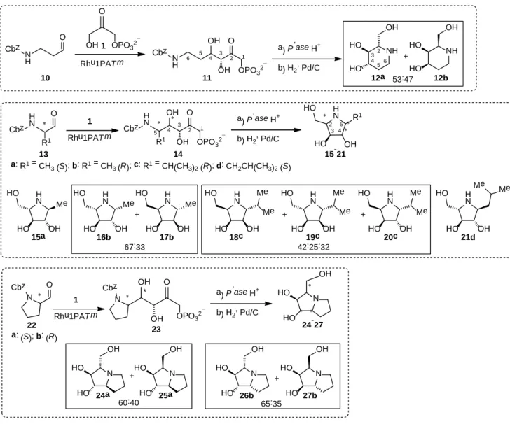 Table 2. Percentage of aldol adducts (11, 14a-d, and 23a-b) formed at analytical scale reactions catalysed by Rhu1PATm