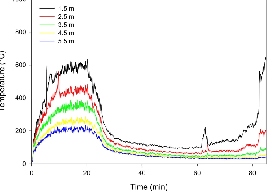 Figure 6. Temperatures on Surface of Wall.