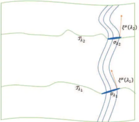 Figure 1. The dynamic foliation of the space-time M by the flow of geodesic congruence