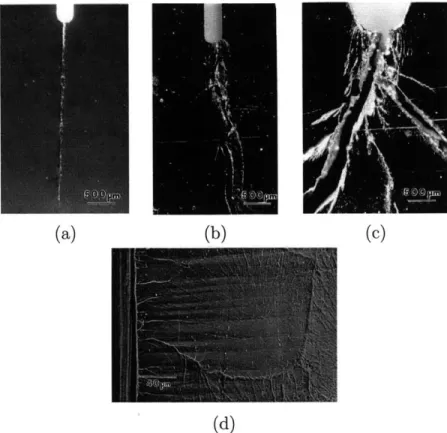 Figure  4-2:  Typical  macroscopic  crack-path  profiles  of specimens  tested  with  different  notch-root radii:  (a)  fatigue  pre-cracked;  (b)  root  radius  65  pm;  (c)  root  radius  250  pm