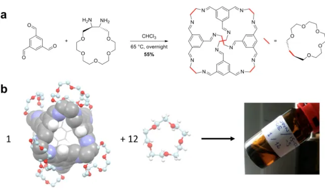 Figure 1. Preparation of the porous liquid. a, Synthesis of the crown-ether cage. b, The highly  soluble  cage  molecule,  left,  defines  the  pore  space;  the  15-crown-5  solvent,  middle,  provides  fluidity  but  is  too  large  to  enter  the  cage 