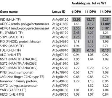 Table 3. Differential expression of known dehiscence genes from 2 color Arabidopsis array data