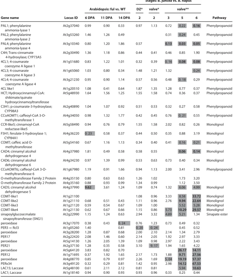 Table 4. Differential expression of genes encoding enzymes of phenylpropanoid pathway and biosynthesis of monolignol and sinapate ester (functional annotation based on http://cellwall.genomics.purdue.edu/) from 2-color Arabidopsis microarray data