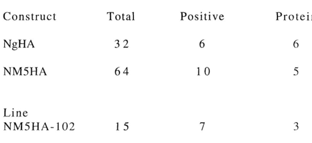 Table  1.  Numbers  of  transgenic  embryos  examined  for  the  wild  type rat  nestin  construct  NgHA  and  the  mutant  construct  NMSHA