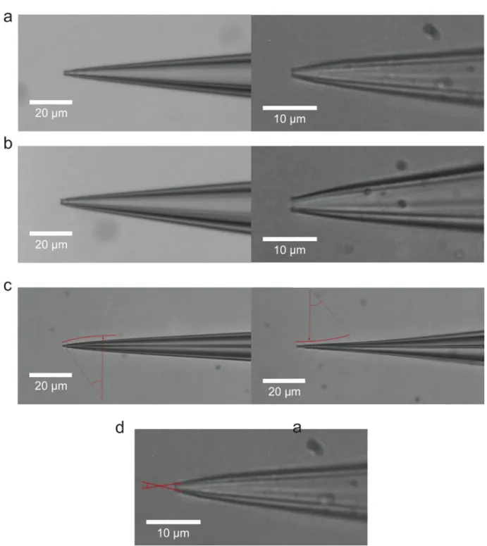 FIGURE 3. Optimum pipettes used for autopatching