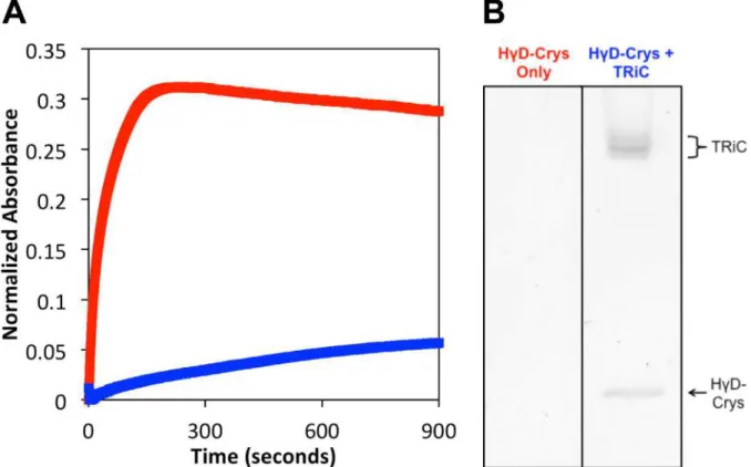 Figure 2-7: Purified human TRiC suppression of HγD-Crys aggregation and HγD-Crys native- native-like state refolding 